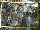 PA_1222_2_100a