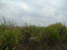 PA_1223_1_119