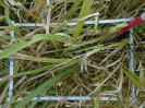 PA_1223_1_121b