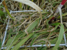 PA_1223_1_122c
