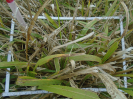 PA_1223_1_123d