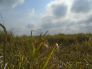 PA_1223_2_124