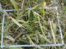 PA_1223_3_130a