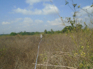 PA_1223_4_134