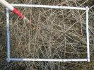 PA_1223_4_138d