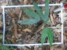 PA_1224_1_05b