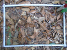 PA_1224_1_06c