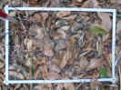 PA_1224_1_07d