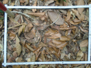 PA_1224_2_09a