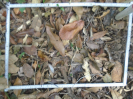 PA_1224_2_10b