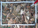 PA_1224_2_11c