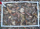 PA_1224_2_12d