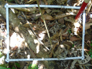 PA_1225_1_320b