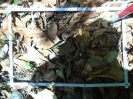 PA_1225_1_321c