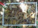 PA_1225_1_322d
