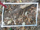 PA_1225_2_324a
