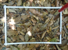 PA_1225_2_325b