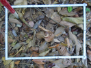 PA_1225_2_327d