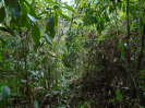 PA_1225_3_328