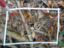 PA_1225_3_329a