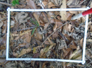 PA_1225_3_331c