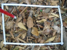 PA_1225_3_332d
