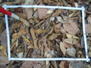 PA_1225_4_334a