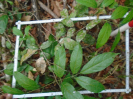 PA_1225_4_335b