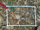 PA_1225_4_337d