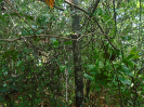 PA_1226_0_070
