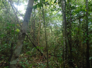 PA_1226_1_071