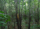 PA_1226_2_077