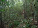 PA_1226_3_083