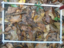 PA_1226_3_086c