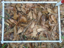 PA_1226_4_091c