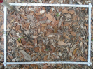 PA_1226_4_092d