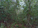 PA_1228_4_90