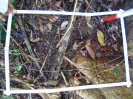 PA_1272_4_176b