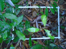 PA_1272_4_178d