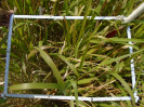 PA_1385_2_54b