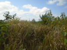 PA_1385_3_57