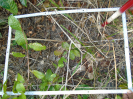 PA_1386_1_27b