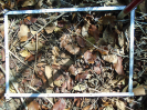 PA_1386_1_28c
