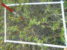 PA_1386_2_31a
