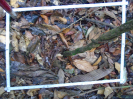 PA_1388_1_06a