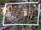 PA_1388_1_08c