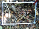 PA_1388_2_12b