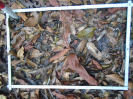 PA_1390_1_70a