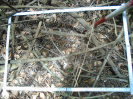 PA_1390_1_71b
