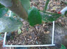 PA_1390_1_72c